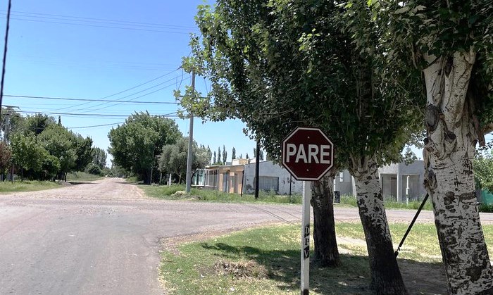 EL SILENCIO POSTELECTORAL: CUANDO EL NIDO POLÍTICO SE VUELVE VACÍO
