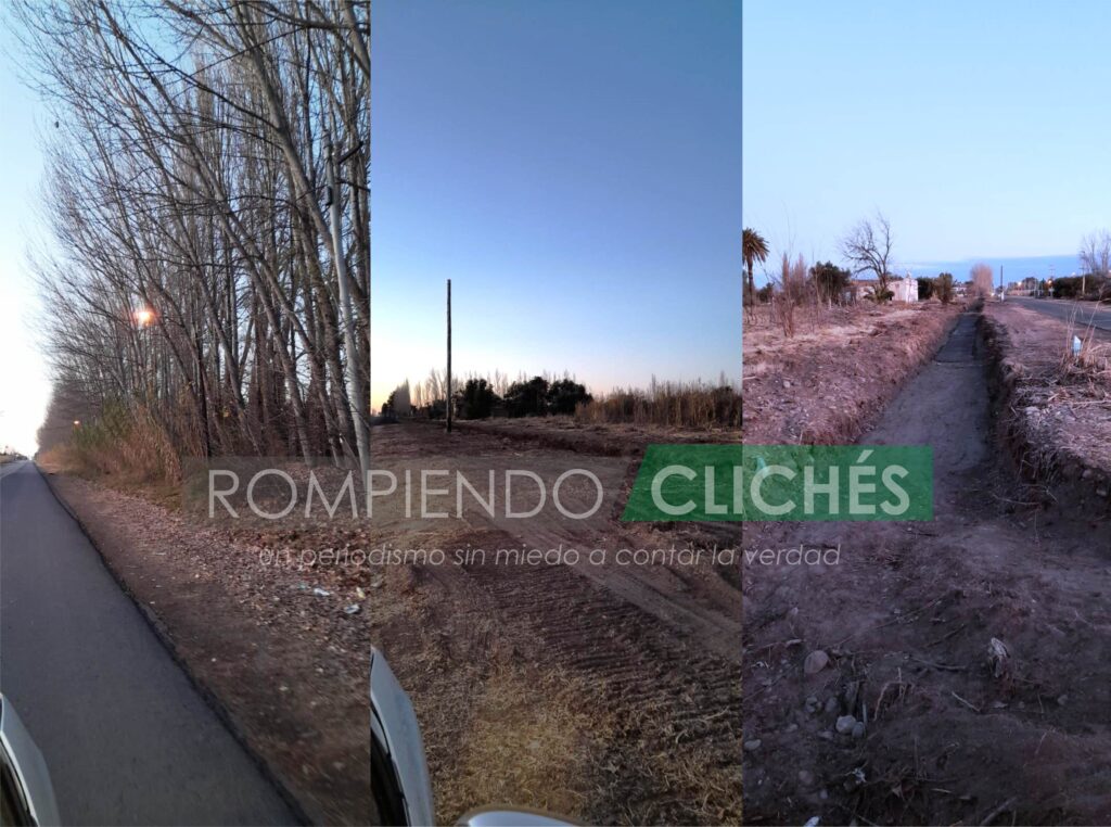YA NO SERAN IGUALES LOS OTOÑOS EN MENDOZA