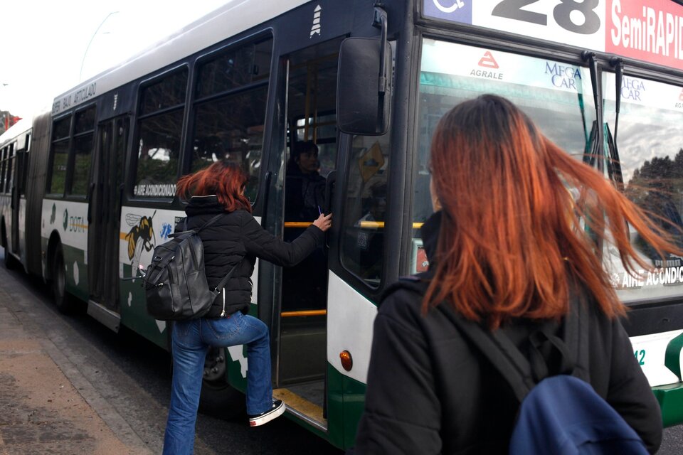 EL GOBIERNO NACIONAL PONE EN MARCHA LA RENUNCIA VOLUNTARIA AL SUBSIDIO DEL TRANSPORTE