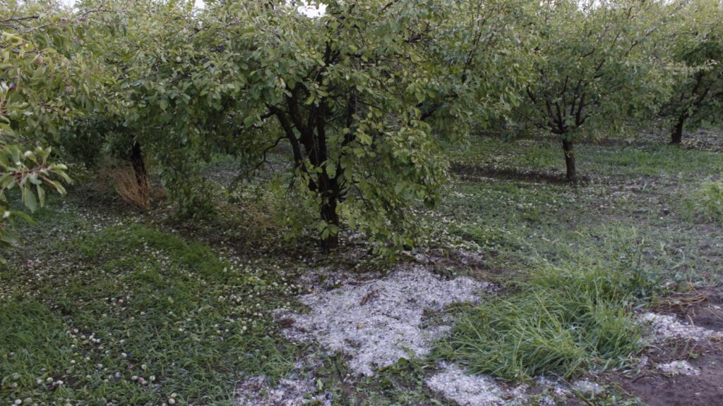 LO QUE DEJÓ LA TORMENTA EN ALVEAR