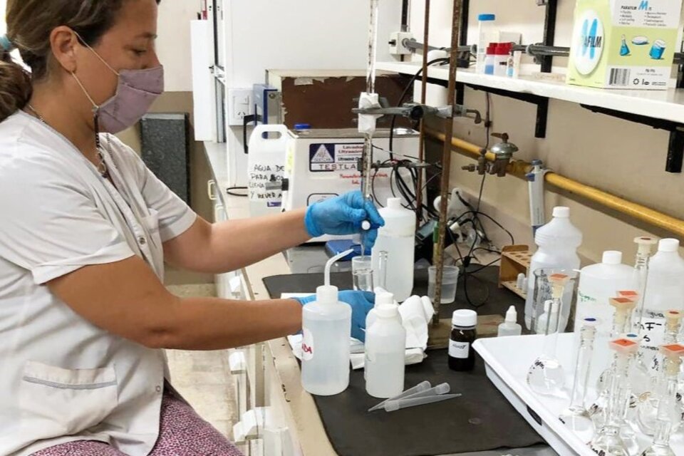 CIENTÍFICOS DEL CONICET DESARROLLAN UN FILTRO SOLAR QUE TAMBIÉN ES REPELENTE Y ANTIINFLAMATORIO