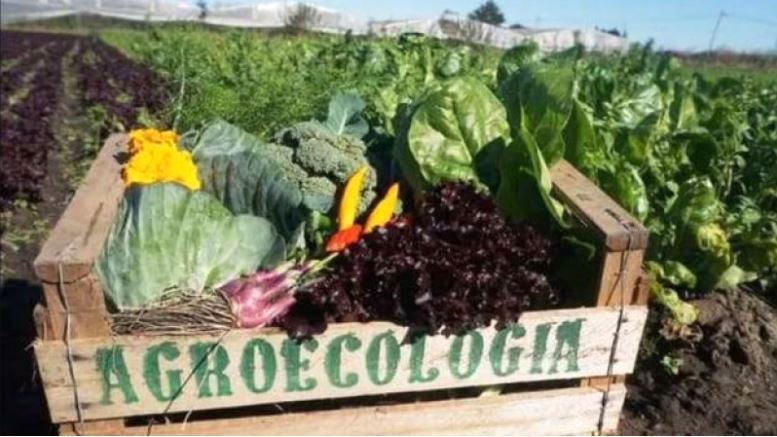 SE REALIZARÁ EL PRIMER ENCUENTRO REGIONAL AGROECOLÓGICO