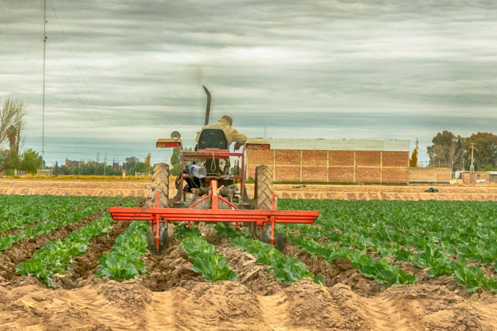 MAIPÚ AGROLIMPIO: UN PROGRAMA QUE CUIDA EL MEDIO AMBIENTE Y ACOMPAÑA A LOS PRODUCTORES