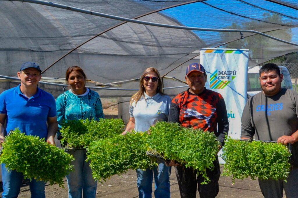 Maipú acompaña a más de 200 productores con el programa «Autoproducción de semillas»