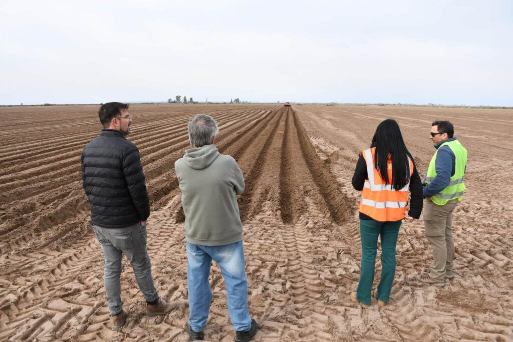 Santa Rosa suma una nueva inversión para la producción de papa
