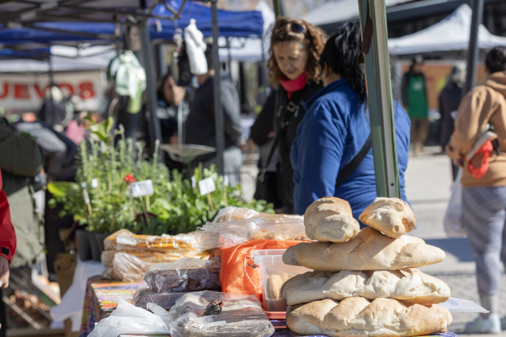Nueva edición de “Del productor a tu mesa” en Maipú